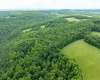 000 Bear Ridge Road, Albright, West Virginia 26519, ,Lots/land,For Sale,Bear Ridge,10159011
