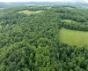 000 Bear Ridge Road, Albright, West Virginia 26519, ,Lots/land,For Sale,Bear Ridge,10159011