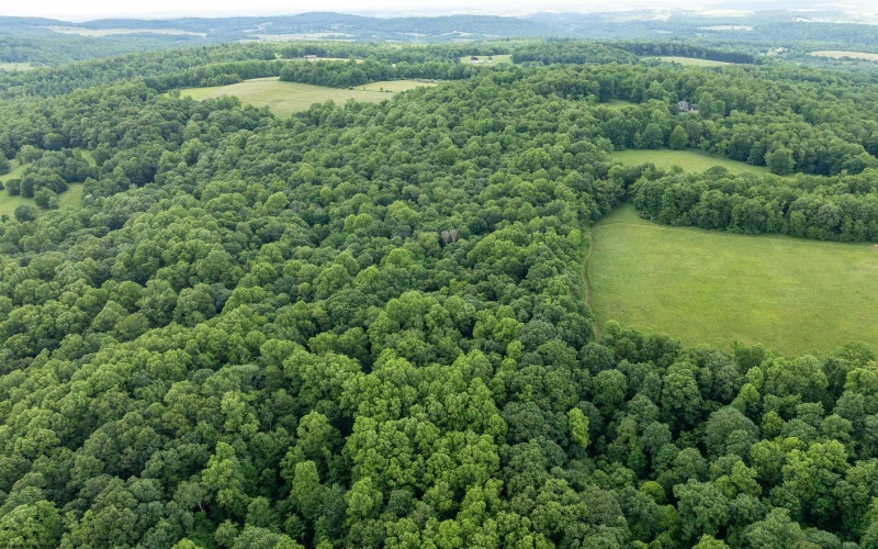000 Bear Ridge Road, Albright, West Virginia 26519, ,Lots/land,For Sale,Bear Ridge,10159011