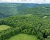 000 Bear Ridge Road, Albright, West Virginia 26519, ,Lots/land,For Sale,Bear Ridge,10159011