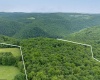 000 Bear Ridge Road, Albright, West Virginia 26519, ,Lots/land,For Sale,Bear Ridge,10159011