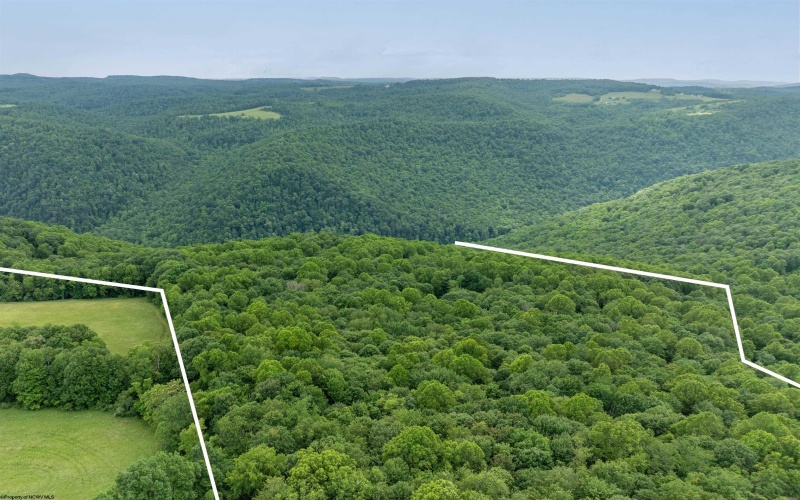 000 Bear Ridge Road, Albright, West Virginia 26519, ,Lots/land,For Sale,Bear Ridge,10159011
