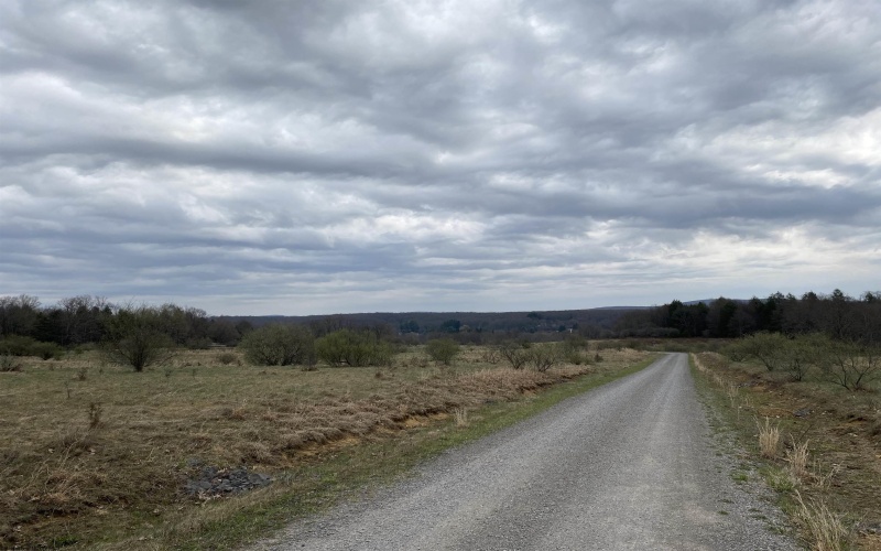 TBD Snowy Ridge Road, Terra Alta, West Virginia 26764, ,Lots/land,For Sale,Snowy Ridge,10159032