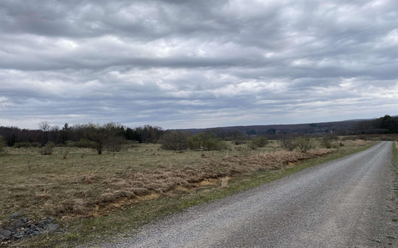 TBD Snowy Ridge Road, Terra Alta, West Virginia 26764, ,Lots/land,For Sale,Snowy Ridge,10159032