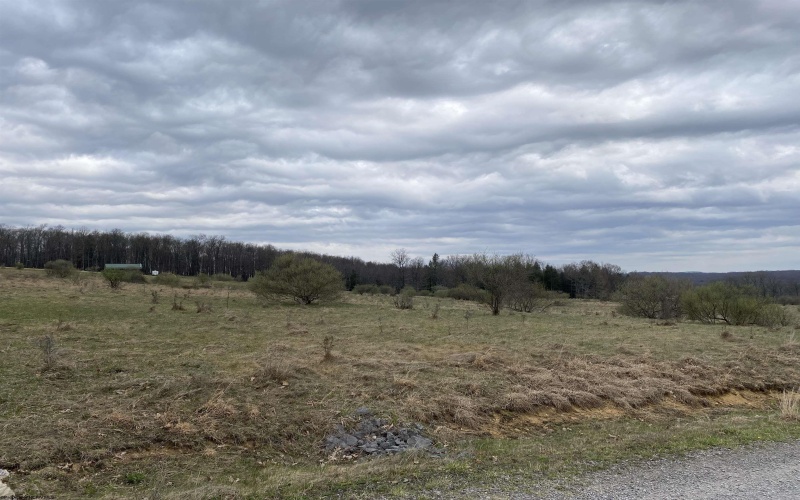 TBD Snowy Ridge Road, Terra Alta, West Virginia 26764, ,Lots/land,For Sale,Snowy Ridge,10159032