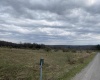 TBD Snowy Ridge Road, Terra Alta, West Virginia 26764, ,Lots/land,For Sale,Snowy Ridge,10159032