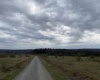 TBD Snowy Ridge Road, Terra Alta, West Virginia 26764, ,Lots/land,For Sale,Snowy Ridge,10159032