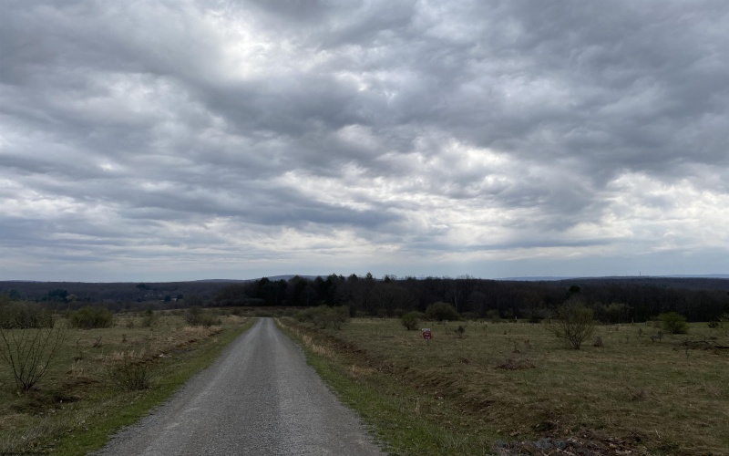 TBD Snowy Ridge Road, Terra Alta, West Virginia 26764, ,Lots/land,For Sale,Snowy Ridge,10159032