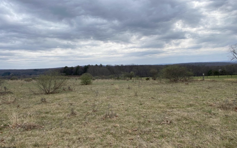 TBD Snowy Ridge Road, Terra Alta, West Virginia 26764, ,Lots/land,For Sale,Snowy Ridge,10159032