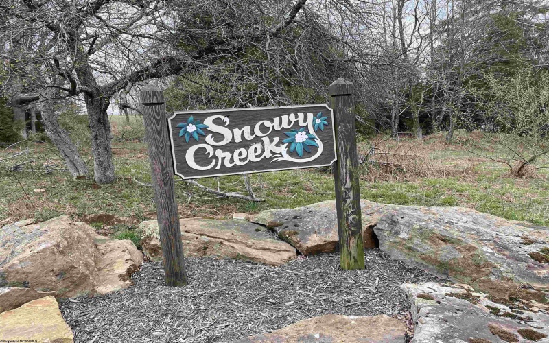 TBD Snowy Ridge Road, Terra Alta, West Virginia 26764, ,Lots/land,For Sale,Snowy Ridge,10159032