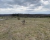 TBD Snowy Ridge Road, Terra Alta, West Virginia 26764, ,Lots/land,For Sale,Snowy Ridge,10159032