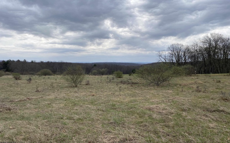 TBD Snowy Ridge Road, Terra Alta, West Virginia 26764, ,Lots/land,For Sale,Snowy Ridge,10159032