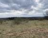 TBD Snowy Ridge Road, Terra Alta, West Virginia 26764, ,Lots/land,For Sale,Snowy Ridge,10159032