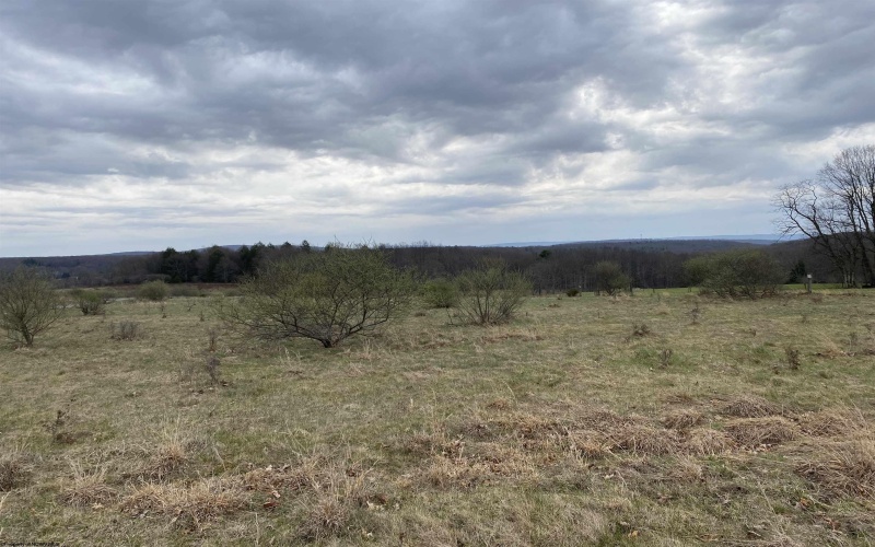 TBD Snowy Ridge Road, Terra Alta, West Virginia 26764, ,Lots/land,For Sale,Snowy Ridge,10159032