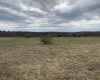 TBD Snowy Ridge Road, Terra Alta, West Virginia 26764, ,Lots/land,For Sale,Snowy Ridge,10159032