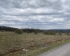 TBD Snowy Ridge Road, Terra Alta, West Virginia 26764, ,Lots/land,For Sale,Snowy Ridge,10159032