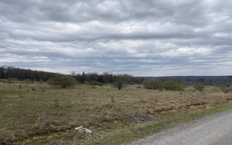 TBD Snowy Ridge Road, Terra Alta, West Virginia 26764, ,Lots/land,For Sale,Snowy Ridge,10159032