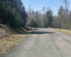 Lot 193 Florence Court, Davis, West Virginia 26260, ,Lots/land,For Sale,Florence,10159053