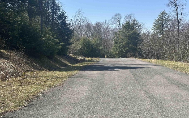 Lot 193 Florence Court, Davis, West Virginia 26260, ,Lots/land,For Sale,Florence,10159053