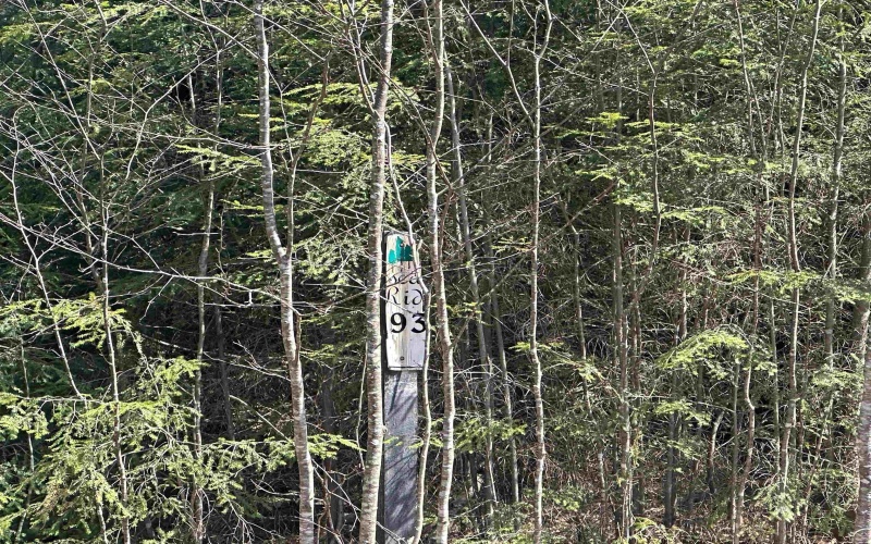 Lot 193 Florence Court, Davis, West Virginia 26260, ,Lots/land,For Sale,Florence,10159053