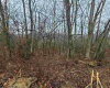 TBD Glade Run Road, Moatsville, West Virginia 26405, ,Lots/land,For Sale,Glade Run,10142433