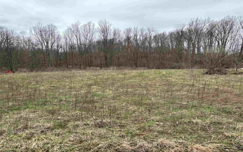 2965 Midway Road, Belington, West Virginia 26250, ,Lots/land,For Sale,Midway,10159083
