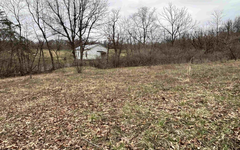 2965 Midway Road, Belington, West Virginia 26250, ,Lots/land,For Sale,Midway,10159083