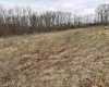 2965 Midway Road, Belington, West Virginia 26250, ,Lots/land,For Sale,Midway,10159083