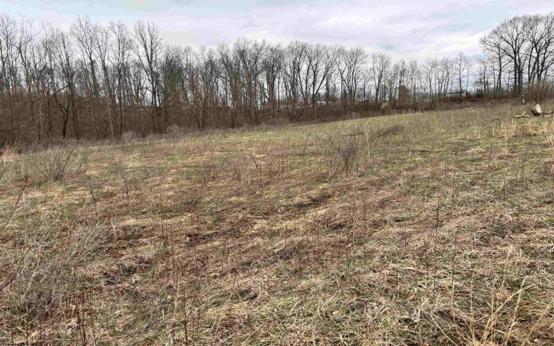 2965 Midway Road, Belington, West Virginia 26250, ,Lots/land,For Sale,Midway,10159083