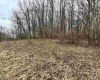 2965 Midway Road, Belington, West Virginia 26250, ,Lots/land,For Sale,Midway,10159083
