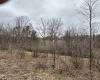 2965 Midway Road, Belington, West Virginia 26250, ,Lots/land,For Sale,Midway,10159083