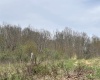 2965 Midway Road, Belington, West Virginia 26250, ,Lots/land,For Sale,Midway,10159083