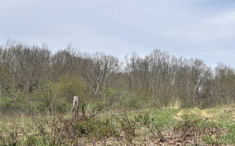 2965 Midway Road, Belington, West Virginia 26250, ,Lots/land,For Sale,Midway,10159083