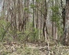 2965 Midway Road, Belington, West Virginia 26250, ,Lots/land,For Sale,Midway,10159083