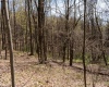 TBD Ooga Ooga Lane, Valley Grove, West Virginia 26060, ,Lots/land,For Sale,Ooga Ooga,10159076