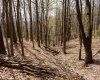 TBD Ooga Ooga Lane, Valley Grove, West Virginia 26060, ,Lots/land,For Sale,Ooga Ooga,10159076