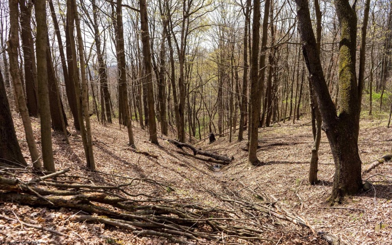 TBD Ooga Ooga Lane, Valley Grove, West Virginia 26060, ,Lots/land,For Sale,Ooga Ooga,10159076
