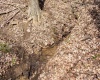 TBD Ooga Ooga Lane, Valley Grove, West Virginia 26060, ,Lots/land,For Sale,Ooga Ooga,10159076