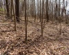 TBD Ooga Ooga Lane, Valley Grove, West Virginia 26060, ,Lots/land,For Sale,Ooga Ooga,10159076