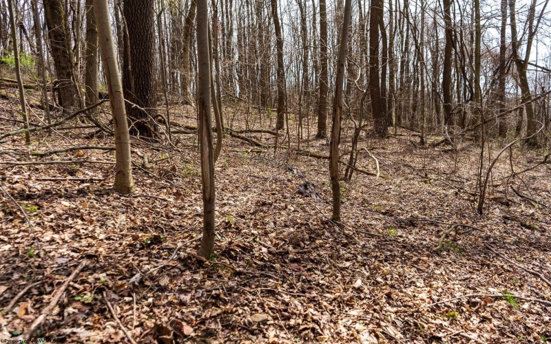 TBD Ooga Ooga Lane, Valley Grove, West Virginia 26060, ,Lots/land,For Sale,Ooga Ooga,10159076