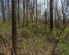TBD Ooga Ooga Lane, Valley Grove, West Virginia 26060, ,Lots/land,For Sale,Ooga Ooga,10159076