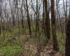 TBD Ooga Ooga Lane, Valley Grove, West Virginia 26060, ,Lots/land,For Sale,Ooga Ooga,10159076