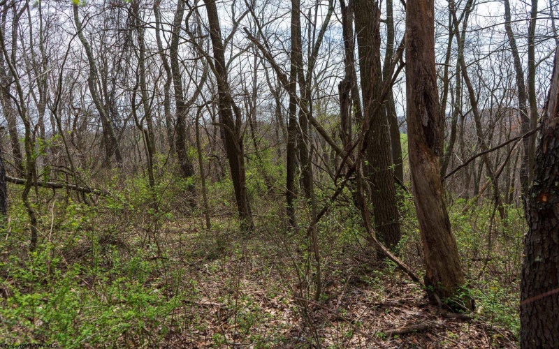 TBD Ooga Ooga Lane, Valley Grove, West Virginia 26060, ,Lots/land,For Sale,Ooga Ooga,10159076