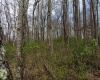 TBD Ooga Ooga Lane, Valley Grove, West Virginia 26060, ,Lots/land,For Sale,Ooga Ooga,10159076