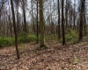 TBD Ooga Ooga Lane, Valley Grove, West Virginia 26060, ,Lots/land,For Sale,Ooga Ooga,10159076