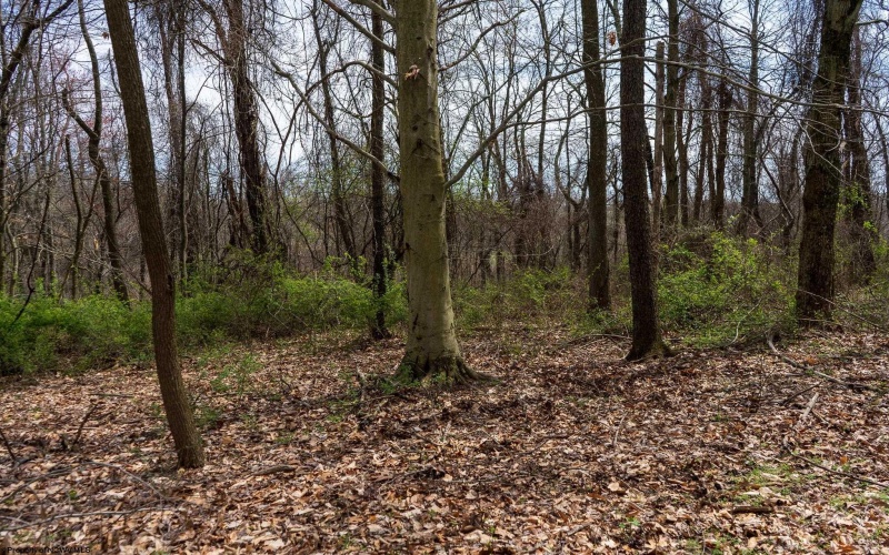 TBD Ooga Ooga Lane, Valley Grove, West Virginia 26060, ,Lots/land,For Sale,Ooga Ooga,10159076