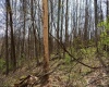 TBD Ooga Ooga Lane, Valley Grove, West Virginia 26060, ,Lots/land,For Sale,Ooga Ooga,10159076
