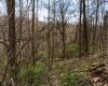 TBD Ooga Ooga Lane, Valley Grove, West Virginia 26060, ,Lots/land,For Sale,Ooga Ooga,10159076