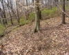 TBD Ooga Ooga Lane, Valley Grove, West Virginia 26060, ,Lots/land,For Sale,Ooga Ooga,10159076