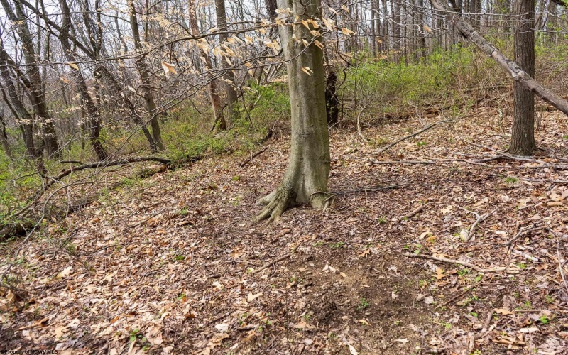 TBD Ooga Ooga Lane, Valley Grove, West Virginia 26060, ,Lots/land,For Sale,Ooga Ooga,10159076